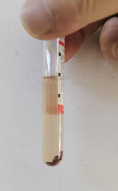 图片 2.png 图片 2.png